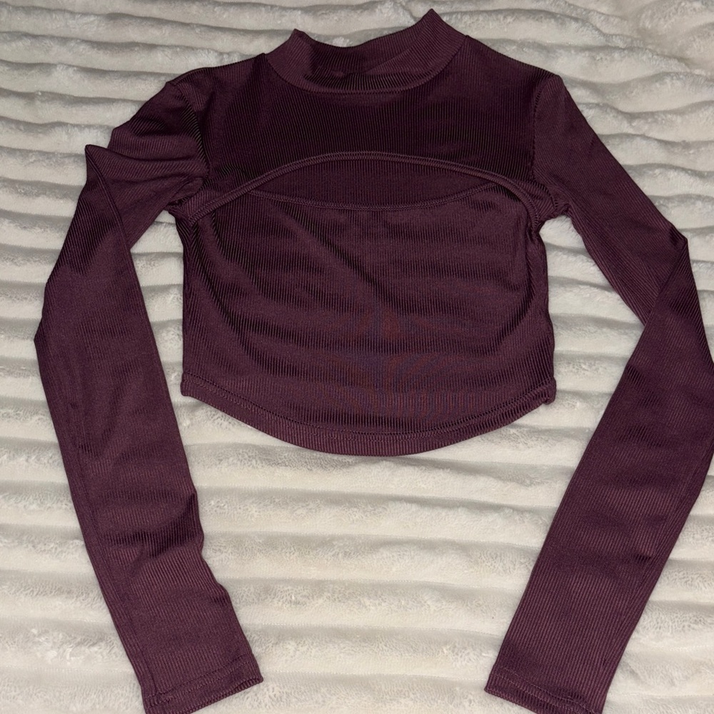 SHEIN Mauve Long Sleeve Crop Top